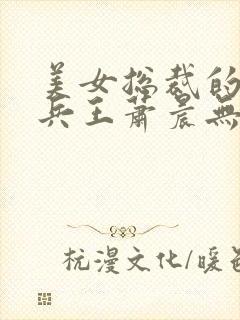 美女总裁的全能兵王萧晨无弹窗