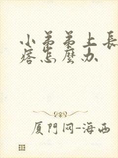 小弟弟上长红疙瘩怎么办