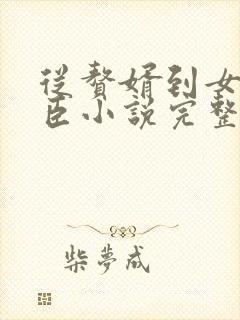 从赘婿到女帝宠臣小说完整版