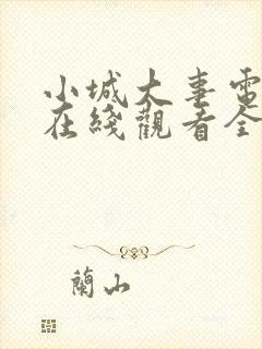 小城大事电视剧在线观看全集24集