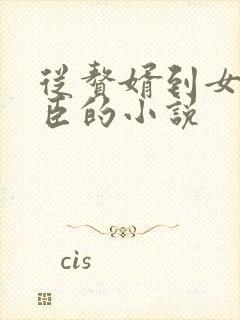 从赘婿到女帝宠臣的小说