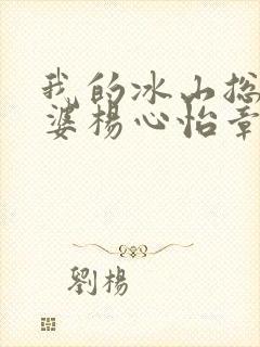 我的冰山总裁老婆杨心怡章节封面