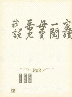 我岳母一家情小说免费阅读