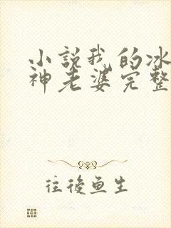 小说我的冰山女神老婆完整版