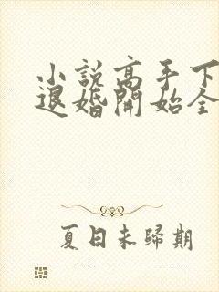 小说高手下山从退婚开始全文阅读