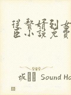 从赘婿到女帝宠臣小说免费