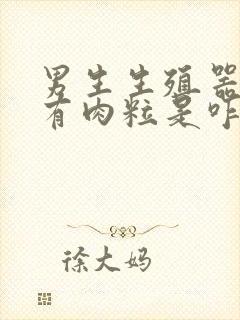 男生生殖器根部有肉粒是咋回事