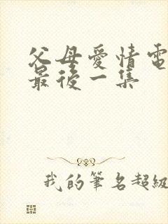 父母爱情电视剧最后一集