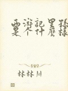 西游记里孙悟空是个什么样的人