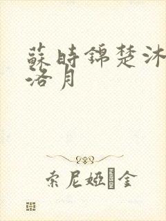 苏时锦楚沐尘苏洛月