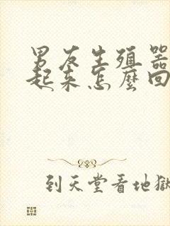 男友生殖器硬不起来怎么回事