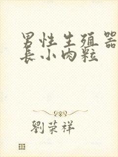 男性生殖器边缘长小肉粒