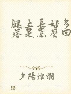 腿上长好多小疙瘩是怎么回事封面