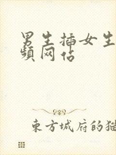 男生插女生的视频网站