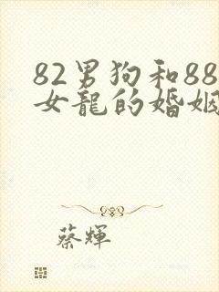 82男狗和88女龙的婚姻怎么样