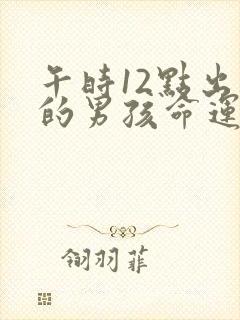 午时12点出生的男孩命运