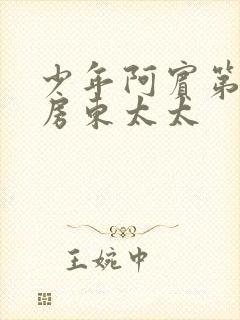 少年阿宾第一章房东太太封面