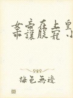 女帝在上皇夫乖乖让朕宠 小说