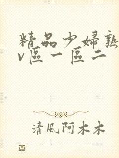 精品少妇熟女av区一区二