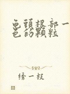 龟头根部一圈白色的颗粒封面