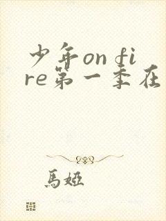 少年on fire第一季在哪里看