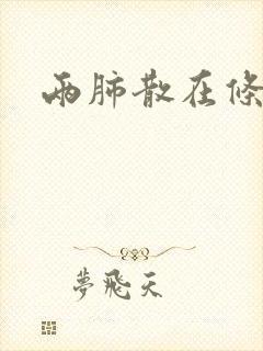 两肺散在条索影