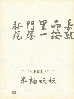 肛门里面长个硬疙瘩一按就疼