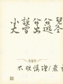 小说公公儿媳妇大雪出逃全文阅读