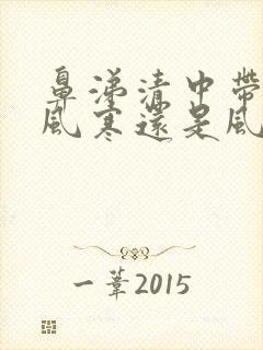 鼻涕清中带黄是风寒还是风热封面