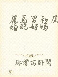 属马男和属龙女婚配好吗