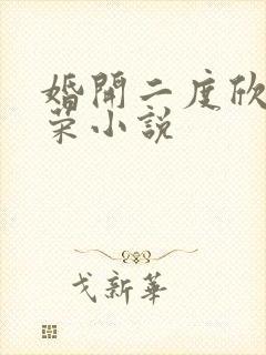 婚开二度欣欣向荣小说