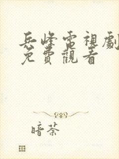 兵峰电视剧全集免费观看