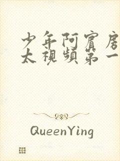 少年阿宾房东太太视频第一集