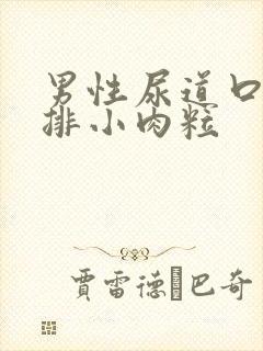 男性尿道口有一排小肉粒