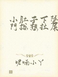 小肚子下坠疼肛门总想拉屎拉不出来封面