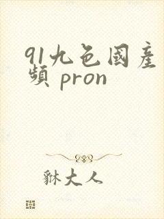 91九色国产视频 pron