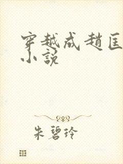 穿越成赵匡胤的小说