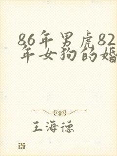 86年男虎82年女狗的婚姻怎么样封面