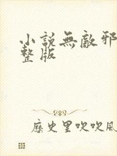 小说无敌邪神完整版封面