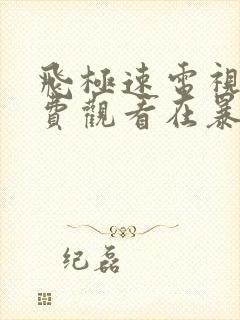 飞极速电视剧免费观看在暴雪时分