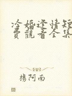 冷婚逢情短剧免费观看全集封面