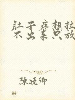 肚子疼想拉屎拉不出来只放屁怎么回事