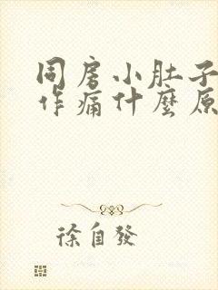 同房小肚子隐隐作痛什么原因