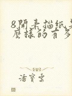 8开素描纸是什么样的有多大