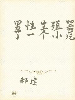 男性生殖器上起了一个小疙瘩