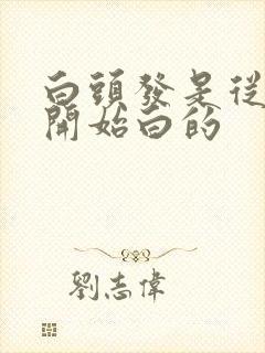 白头发是从哪头开始白的封面