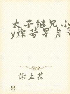 太子继兄小说by灿若星月笔趣阁免费阅