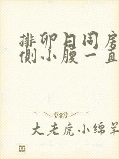 排卵日同房后左侧小腹一直隐痛封面