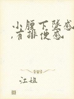 小腹下坠感胀痛,有排便感