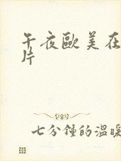 午夜欧美在线看片